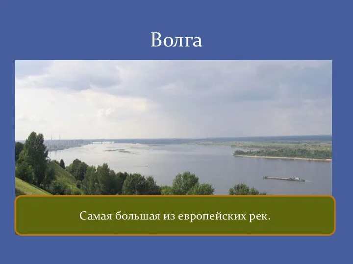 Волга Самая большая из европейских рек.