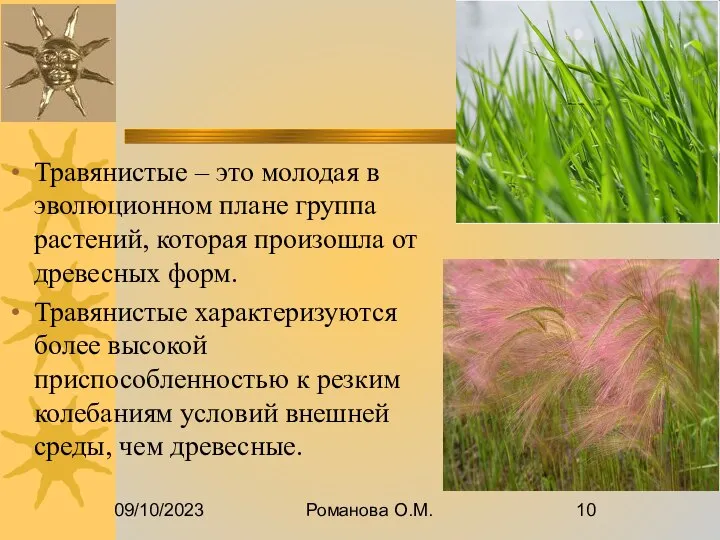 09/10/2023 Романова О.М. Травянистые – это молодая в эволюционном плане группа растений,