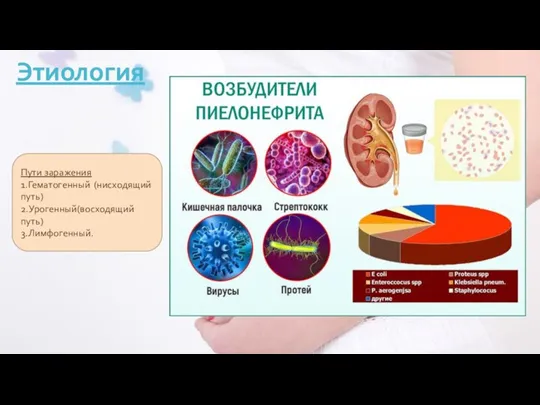 Этиология Пути заражения 1.Гематогенный (нисходящий путь) 2.Урогенный(восходящий путь) 3.Лимфогенный.