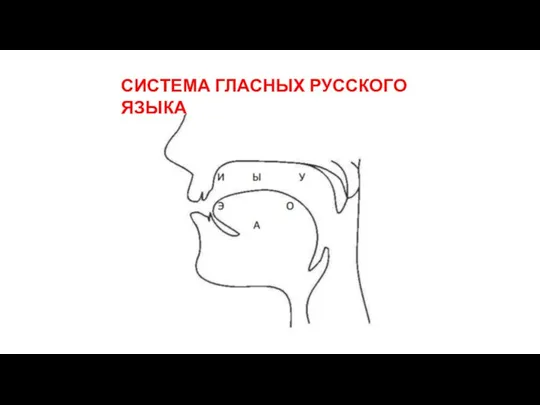 СИСТЕМА ГЛАСНЫХ РУССКОГО ЯЗЫКА