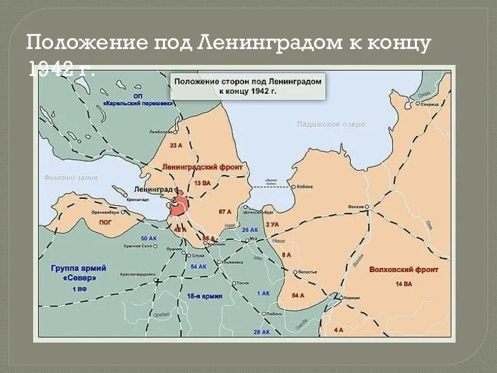 Положение под Ленинградом к концу 1942 г.