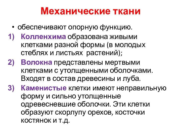 Механические ткани обеспечивают опорную функцию. Колленхима образована живыми клетками разной формы (в