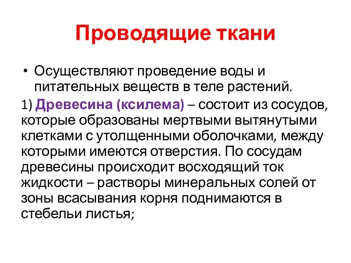 Проводящие ткани Осуществляют проведение воды и питательных веществ в теле растений. 1)