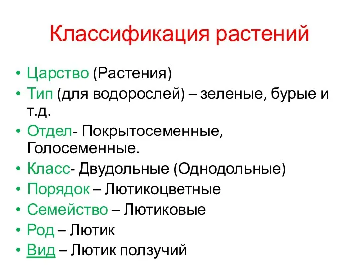 Классификация растений Царство (Растения) Тип (для водорослей) – зеленые, бурые и т.д.