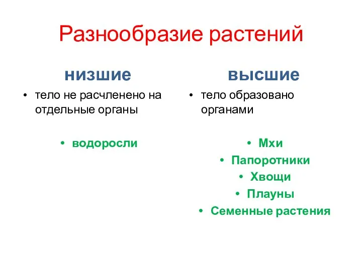 Разнообразие растений низшие тело не расчленено на отдельные органы водоросли высшие тело