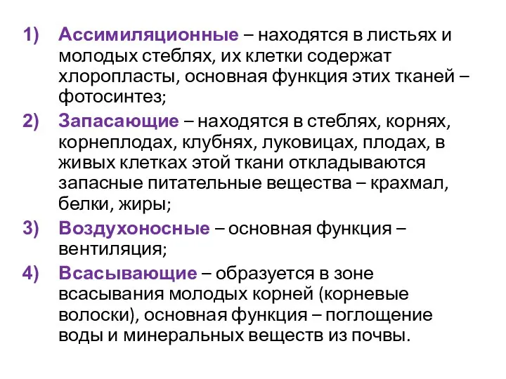 Ассимиляционные – находятся в листьях и молодых стеблях, их клетки содержат хлоропласты,