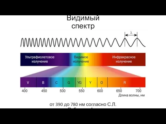 Видимый спектр от 390 до 780 нм согласно С.Л. Рубинштейну