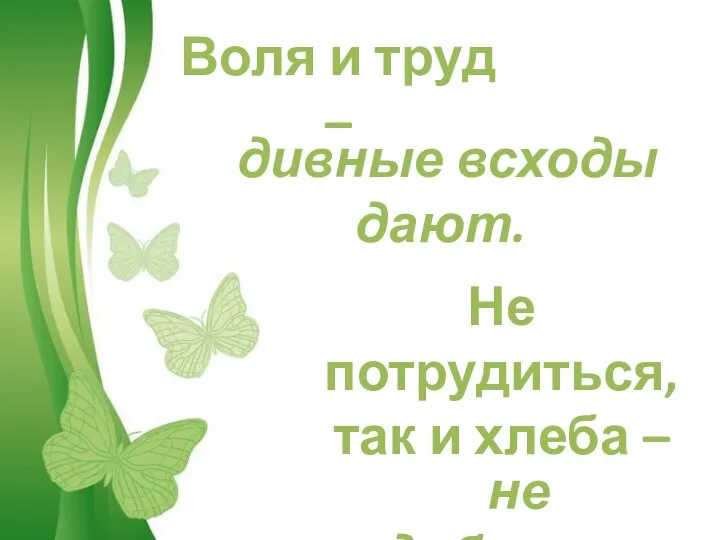 Воля и труд – дивные всходы дают. Не потрудиться, так и хлеба – не добиться