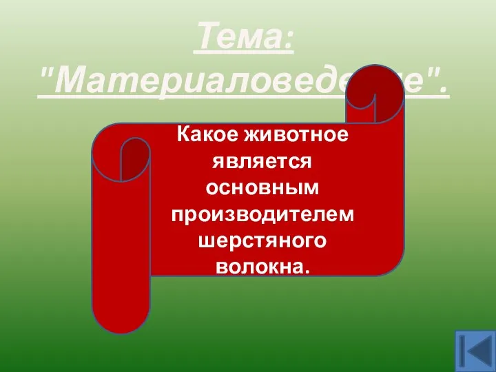 Тема: "Материаловедение". Овца Какое животное является основным производителем шерстяного волокна.