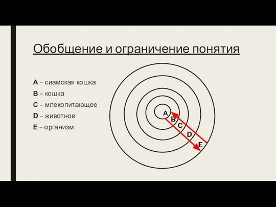 Обобщение и ограничение понятия А – сиамская кошка В – кошка С