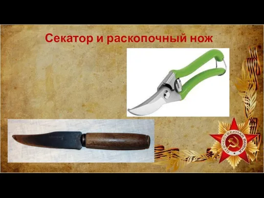 Секатор и раскопочный нож