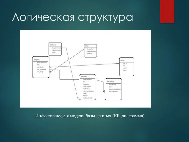 Логическая структура Инфологическая модель базы данных (ER-диаграмма)