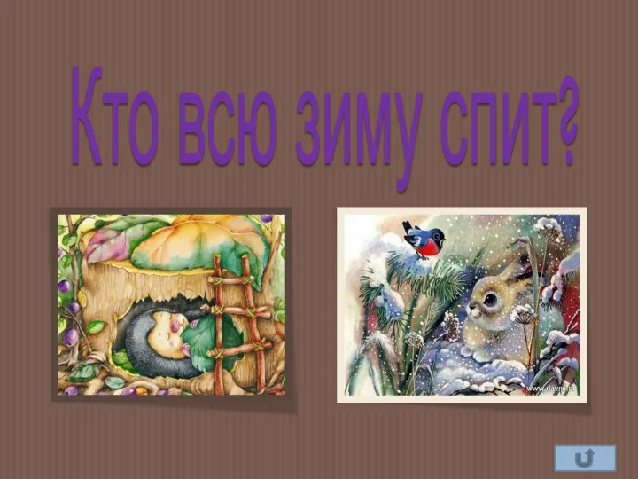 Кто всю зиму спит?