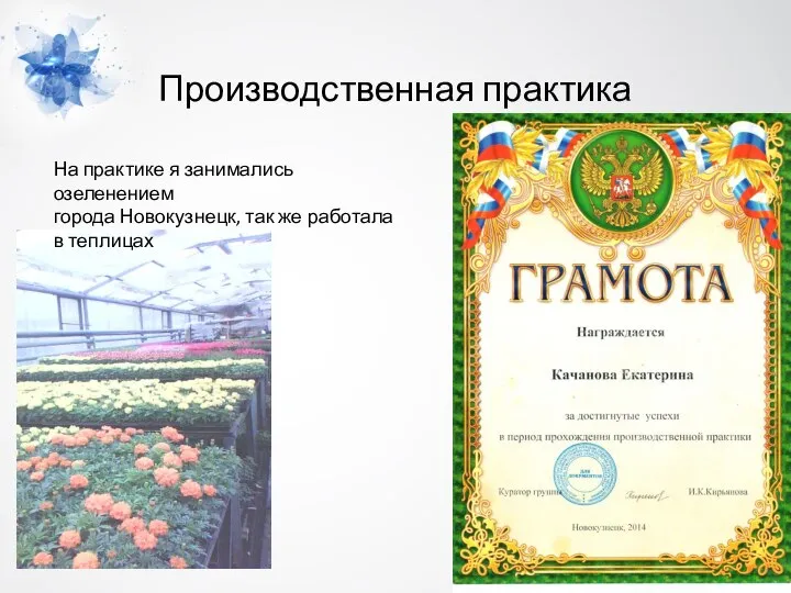 Производственная практика На практике я занимались озеленением города Новокузнецк, так же работала в теплицах