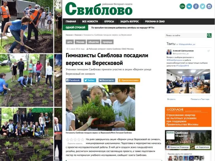 30 мая 2016 года на улице Вересковой был высажен вереск учениками ГБОУ Школа «Свиблово»