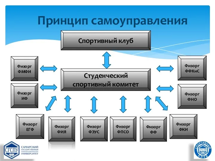 Принцип самоуправления Спортивный клуб Студенческий спортивный комитет Физорг ФФКиС Физорг ФНО Физорг