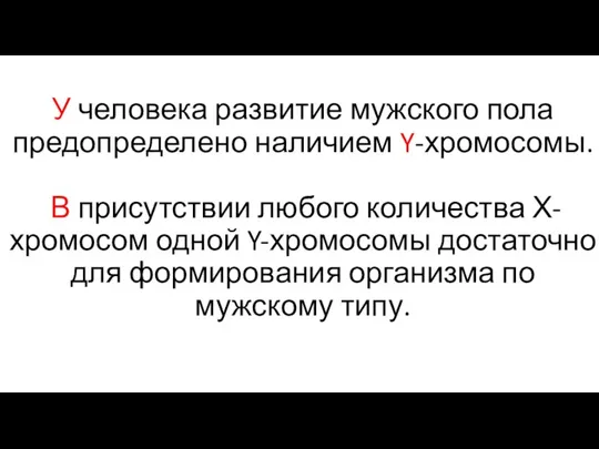 У человека развитие мужского пола предопределено наличием Y-хромосомы. В присутствии любого количества