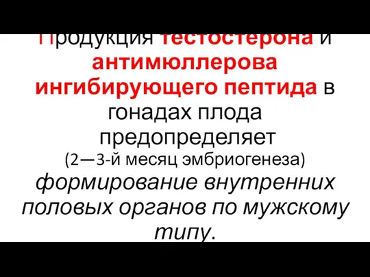 Продукция тестостерона и антимюллерова ингибирующего пептида в гонадах плода предопределяет (2—3-й месяц