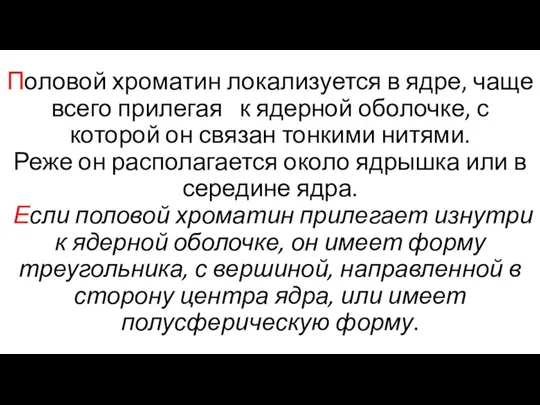 Половой хроматин локализуется в ядре, чаще всего прилегая к ядерной оболочке, с