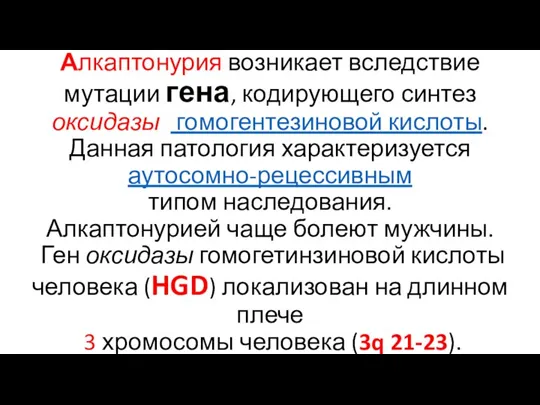 Алкаптонурия возникает вследствие мутации гена, кодирующего синтез оксидазы гомогентезиновой кислоты. Данная патология