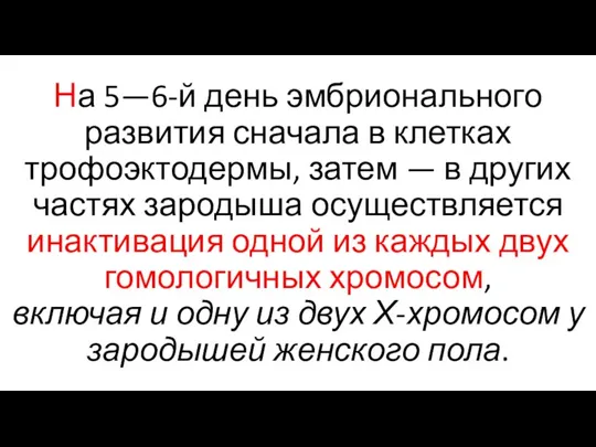 На 5—6-й день эмбрионального развития сначала в клетках трофоэктодермы, затем — в