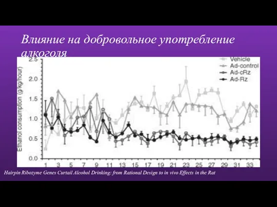 Влияние на добровольное употребление алкоголя Hairpin Ribozyme Genes Curtail Alcohol Drinking: from