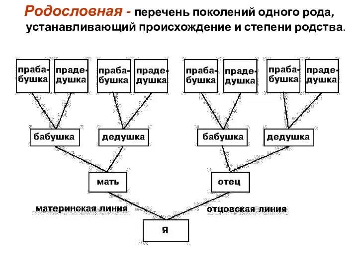 Родословная - перечень поколений одного рода, устанавливающий происхождение и степени родства.