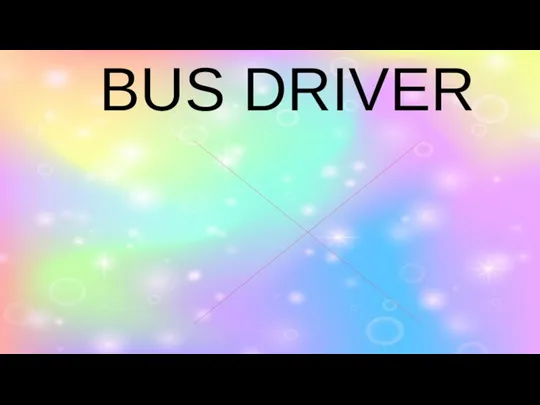 BUS DRIVER