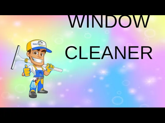 WINDOW CLEANER