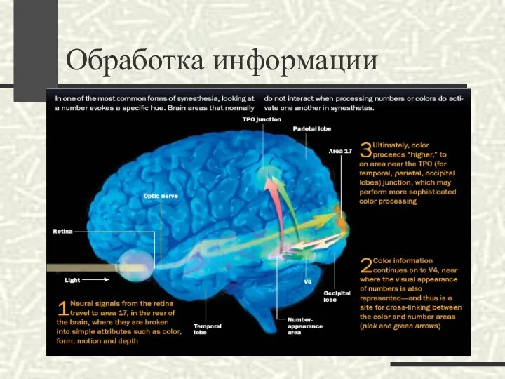 Обработка информации