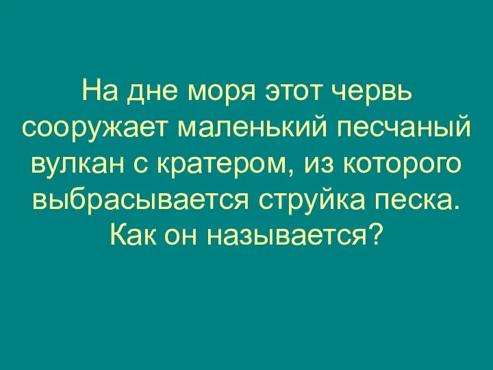 На дне моря этот червь сооружает маленький песчаный вулкан с кратером, из