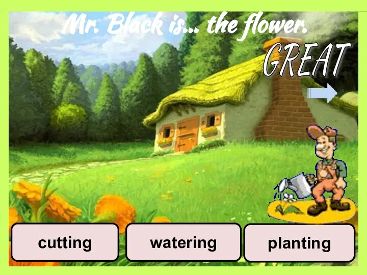 Mr. Black is… the flower. planting watering cutting GREAT