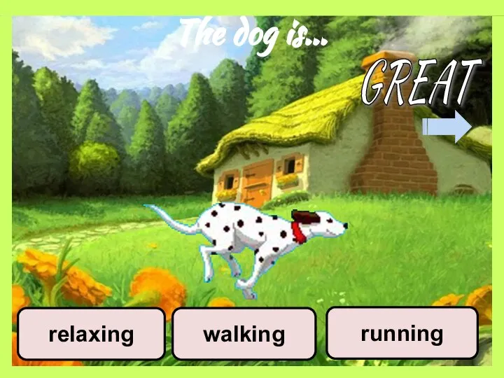 The dog is… walking running relaxing GREAT