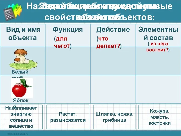 Заполни таблицу свойств объектов: Белый гриб Яблоко Накапливает энергию солнца и вещество