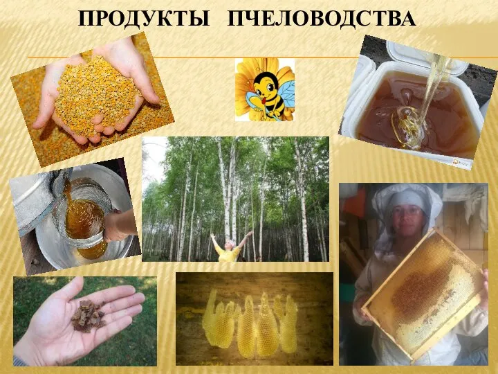 ПРОДУКТЫ ПЧЕЛОВОДСТВА