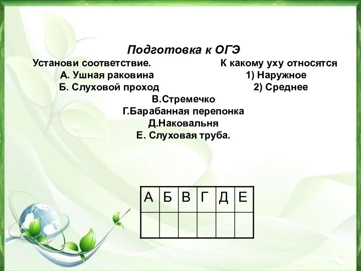 Подготовка к ОГЭ Установи соответствие. К какому уху относятся А. Ушная раковина