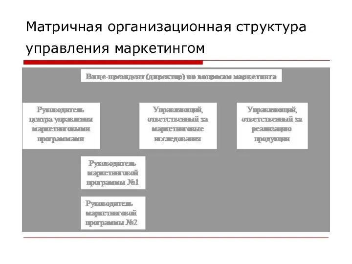 Матричная организационная структура управления маркетингом