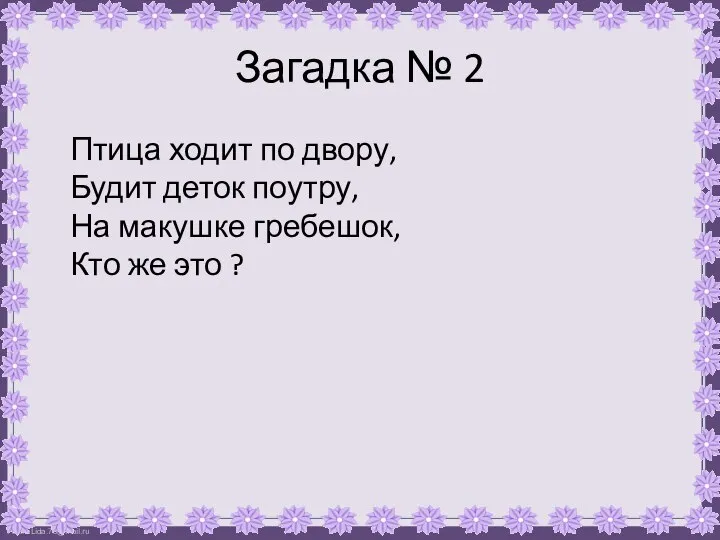 Загадка № 2 Птица ходит по двору, Будит деток поутру, На макушке