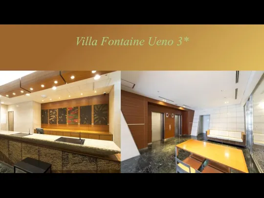 Villa Fontaine Ueno 3*