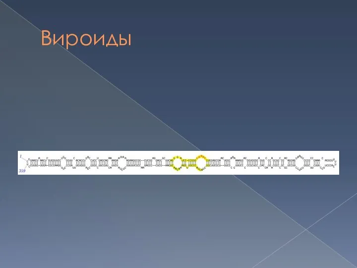 Вироиды