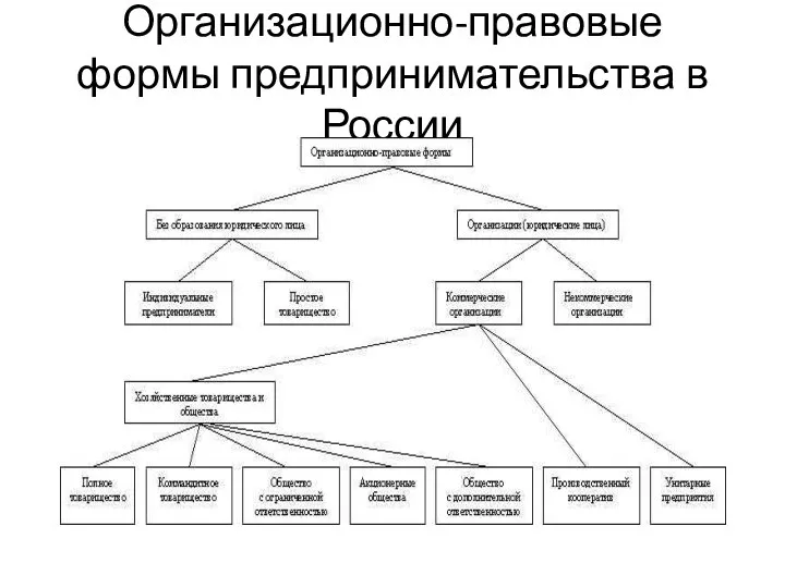 Организационно-правовые формы предпринимательства в России