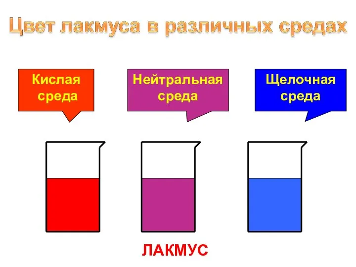 ЛАКМУС Кислая среда Нейтральная среда Щелочная среда