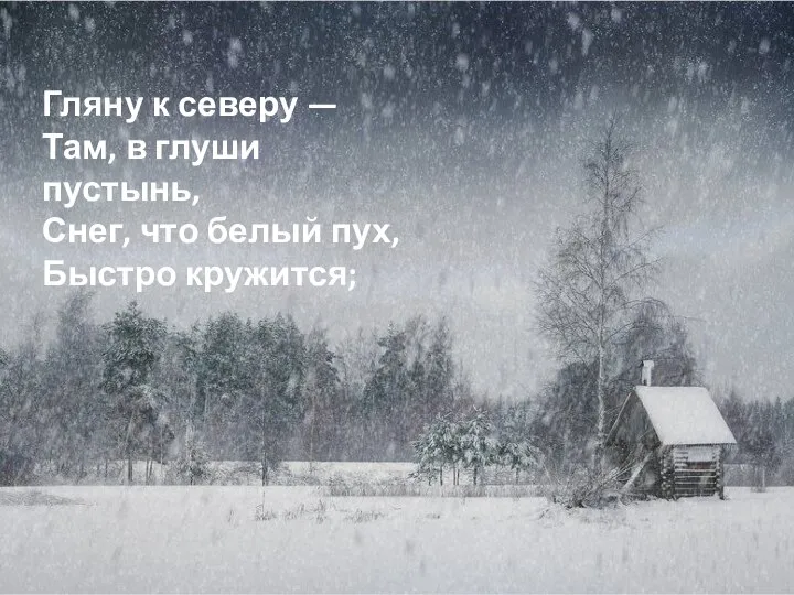 Гляну к северу — Там, в глуши пустынь, Снег, что белый пух, Быстро кружится;