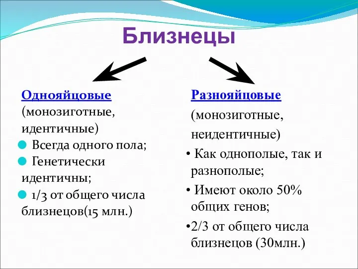 Близнецы Однояйцовые (монозиготные, идентичные) Всегда одного пола; Генетически идентичны; 1/3 от общего