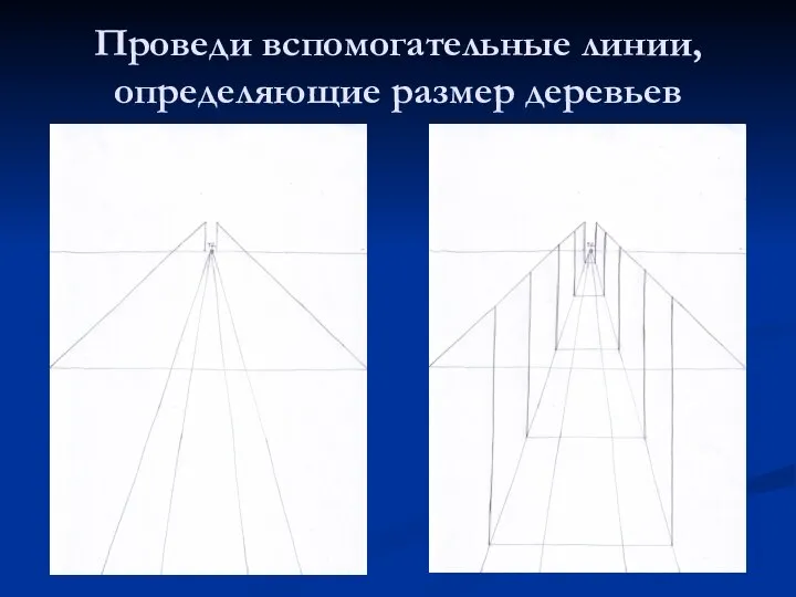 Проведи вспомогательные линии, определяющие размер деревьев