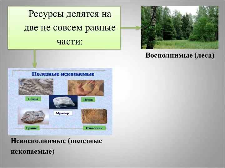 Ресурсы делятся на две не совсем равные части: Невосполнимые (полезные ископаемые) Восполнимые (леса)