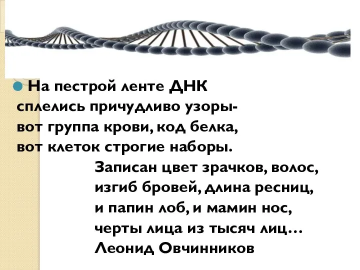 На пестрой ленте ДНК сплелись причудливо узоры- вот группа крови, код белка,