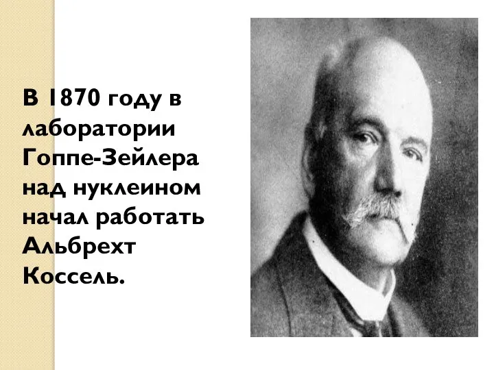 В 1870 году в лаборатории Гоппе-Зейлера над нуклеином начал работать Альбрехт Коссель.