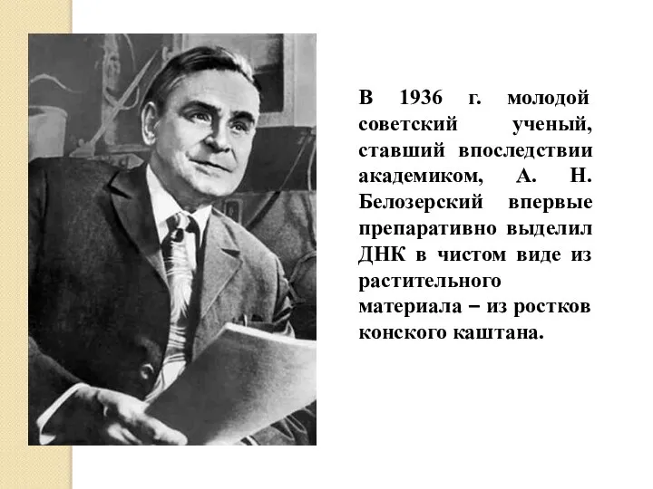 В 1936 г. молодой советский ученый, ставший впоследствии академиком, А. Н. Белозерский