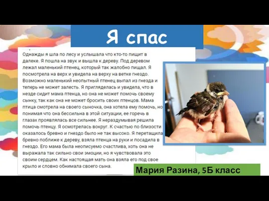 Я спас Мария Разина, 5Б класс